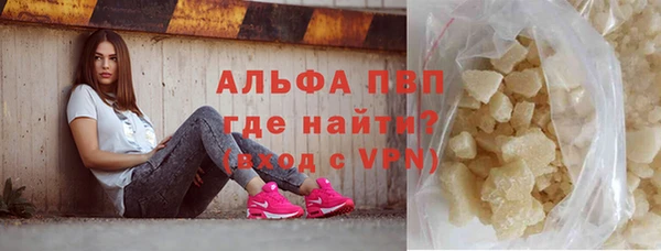 сатива Балахна
