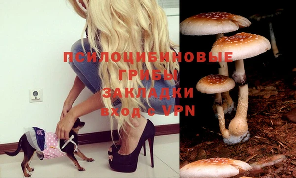 твердый Белоозёрский