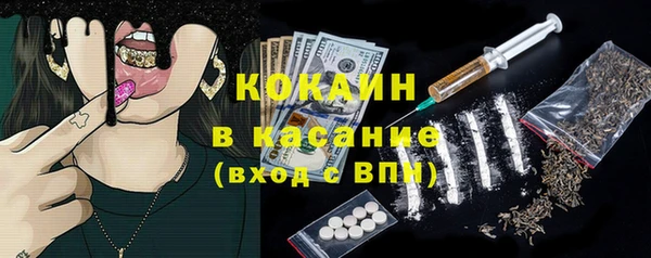прущий лед Богданович
